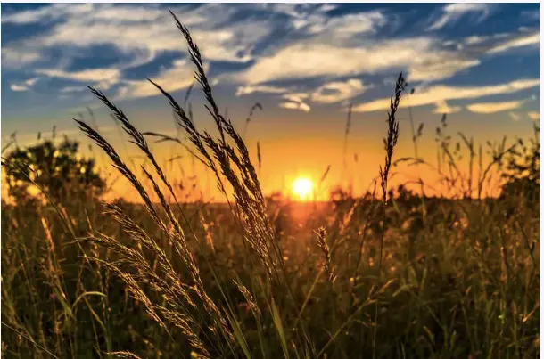  Fuente: Pixabay<br>Agricultura 