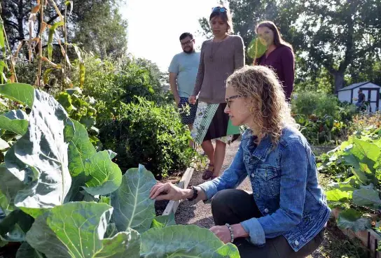  La Doctora Jill Litt 