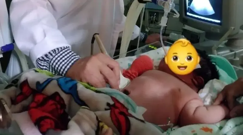  bebe brasile&ntilde;o 