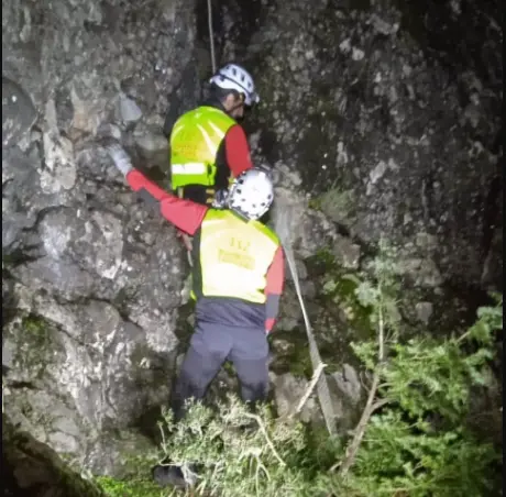  Rescate de los perros 