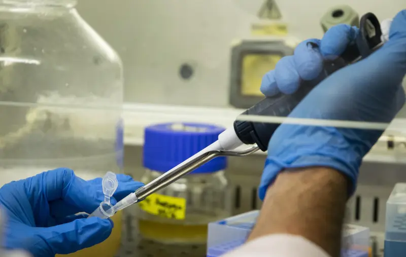  Archivo - Cuatro cient&iacute;ficos del CSIC reciben ayudas de la Uni&oacute;n Europea para fortalecer sus equipos de investigaci&oacute;n - CSIC - Archivo 