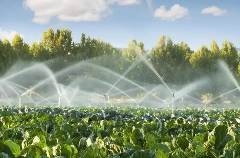  Agricultura. ARCHIVO 