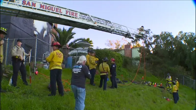  El rescate del perro polic&iacute;a jubilado 