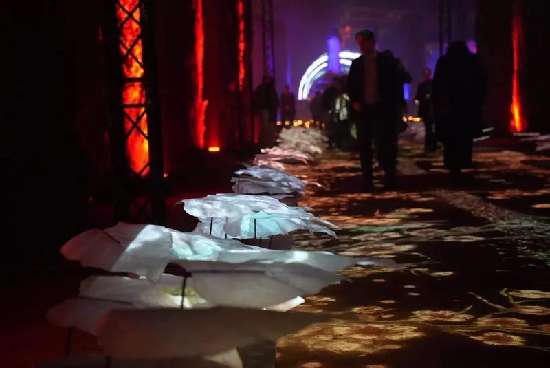  Espect&aacute;culo de Naturaleza Iluminada, Ra&iacute;ces del Alc&aacute;zar de C&oacute;rdoba 