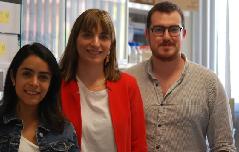  Narda Medina, Juan Carlos Soto-Debran y Ana Alastruey, invetsigadores y coordinadora, respectivamente, del Laboratorio de Referencia en Micolog&iacute;a del ISCIII, ituado en el Centro Nacional de Microbiolog&iacute;a. - ISCIII 