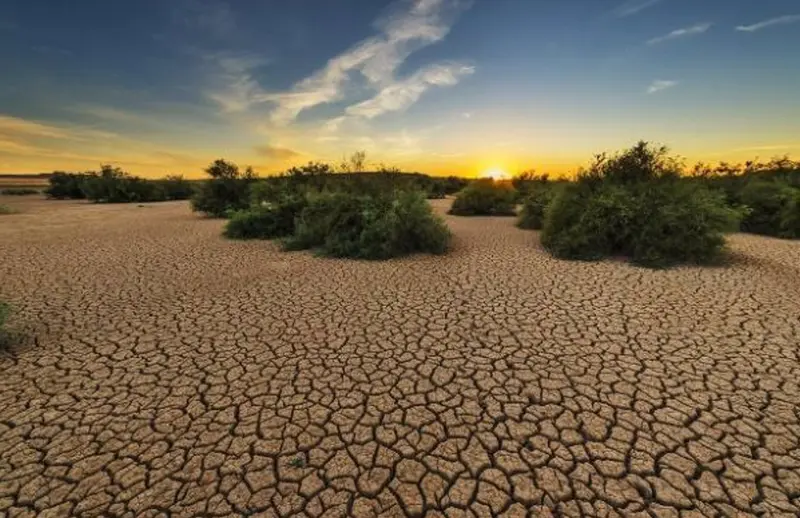  Estudio del CSIC demuestra que los agentes del cambio global son m&aacute;s agresivos al actuar en conjunto sobre un ecosistema - CSIC 