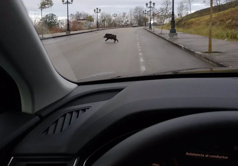  Archivo - Jabal&iacute; en la carretera - EUROPA PRESS - Archivo 