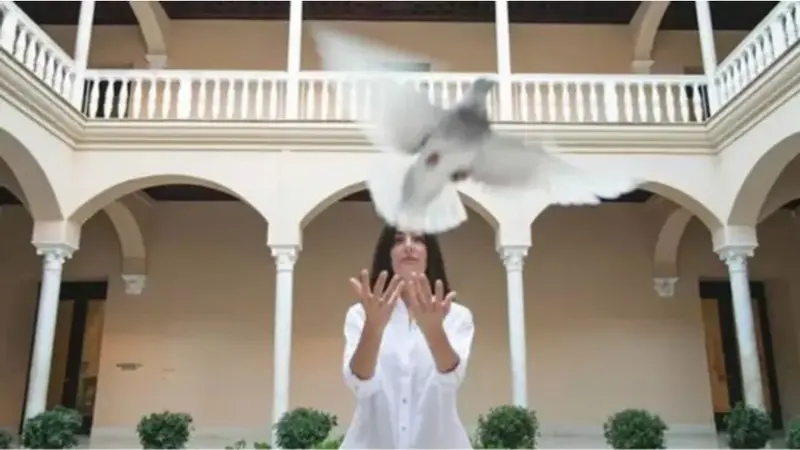  Suelta de una paloma en homenaje a Pablo Picasso 