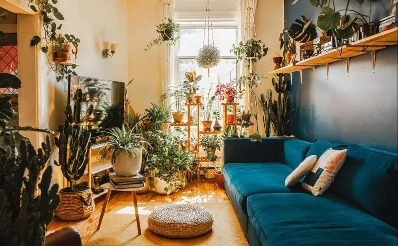  Habitaci&oacute;n llena de plantas 