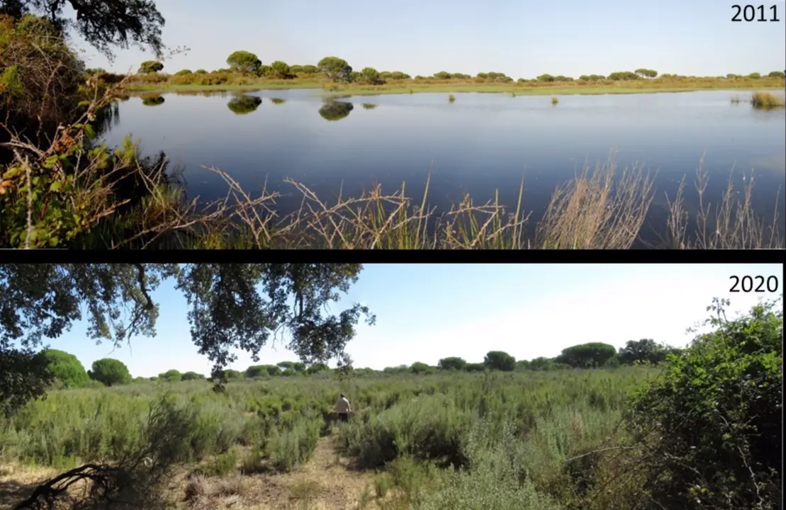 Ejemplo de laguna temporal desaparecida. - CSIC 