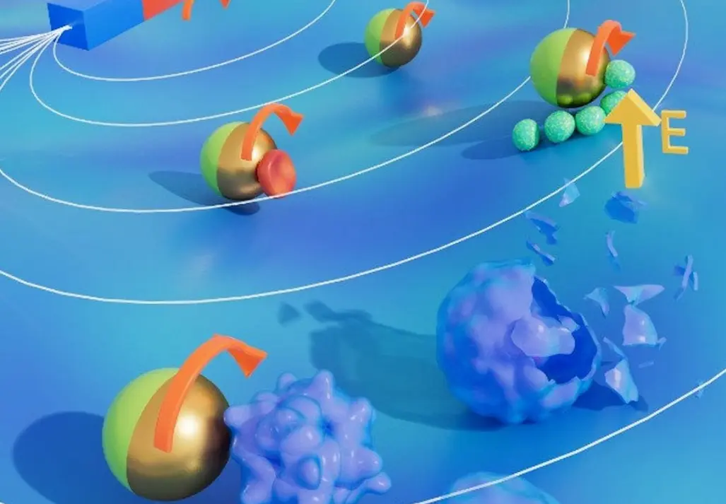  Hybrid micro-robot simulation courtesy of Tel Aviv University / SWNS 