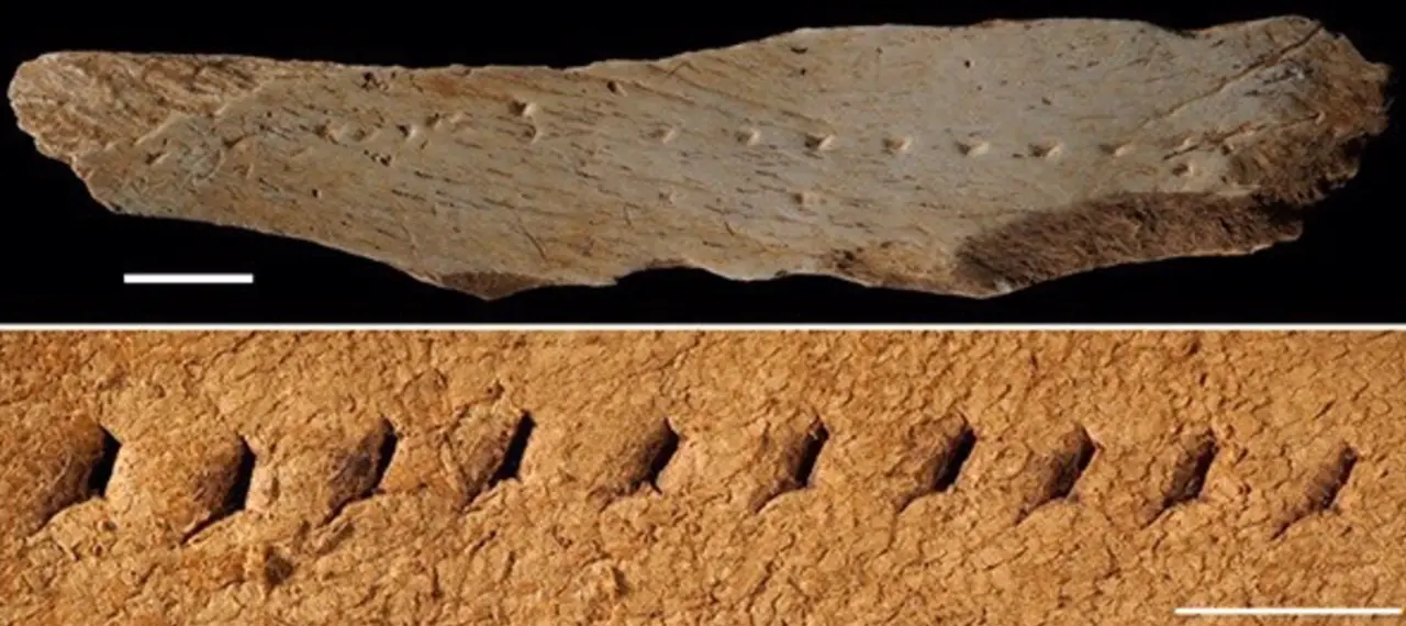  El soporte de hace 39.600 a&ntilde;os encontrado en el yacimiento de los Canyars y una r&eacute;plica de la t&eacute;cnica de perforaci&oacute;n para hacer una costura lineal - FRANCESCO D'ERRICO/LUC DOYON/UB 