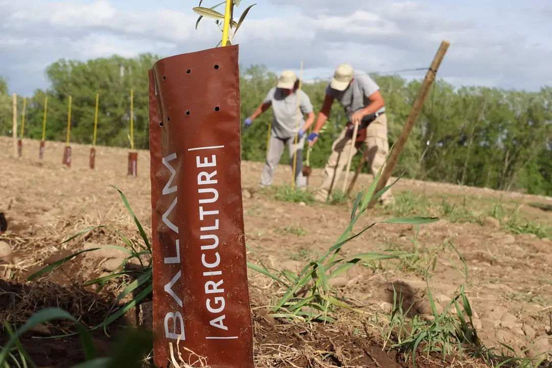  La CA inauguraci&oacute;n 