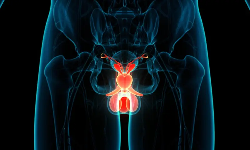  Archivo - C&aacute;ncer de pr&oacute;stata - MAGICMINE - Archivo 