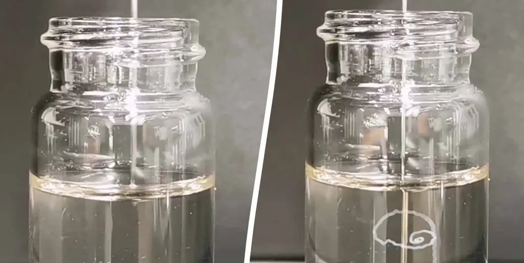  Johns Hopkins / SWNS 