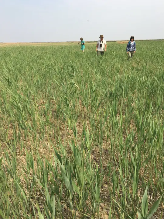  El equipo de investigaci&oacute;n trabajando en China 