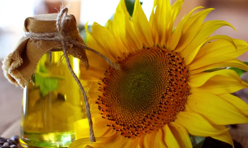  Aceite de oliva. WIKIPEDIA 