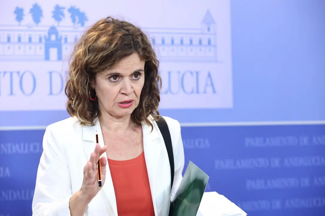  La portavoz adjunta de Por Andaluc&iacute;a en el Parlamento andaluz, Esperanza G&oacute;mez, en rueda de prensa. - JOAQU&Iacute;N CORCHERO (EUROPA PRESS) 