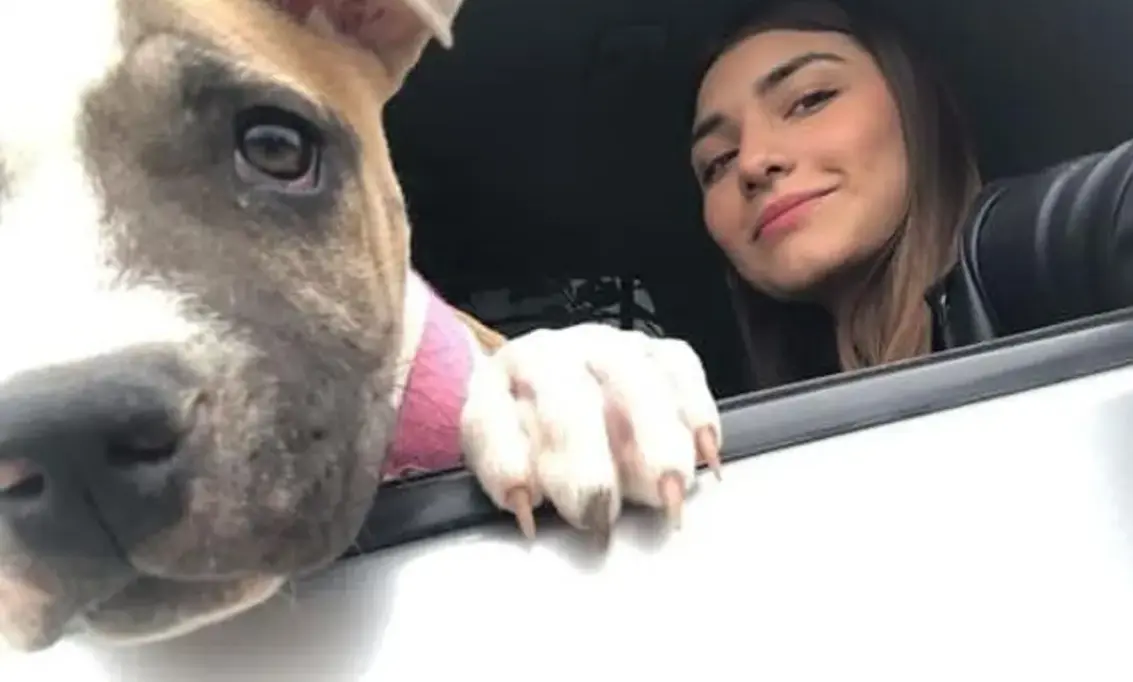  Una perrita muere de tristeza despu&eacute;s de que su due&ntilde;a fallezca - Facebook 