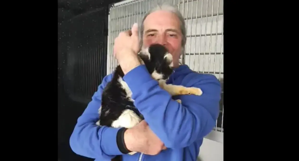  Kizzy se reencuentra con su due&ntilde;o 