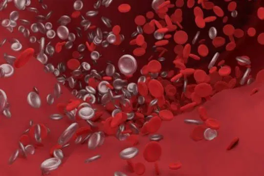  coagulaci&oacute;n de la sangre 