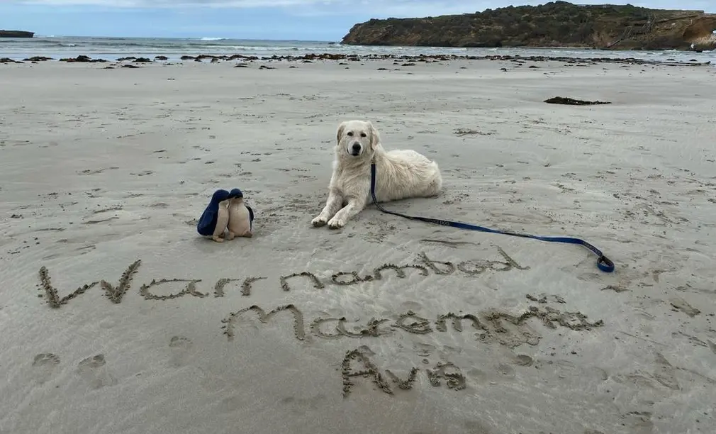  Middle Island Project &ndash; Facebook 