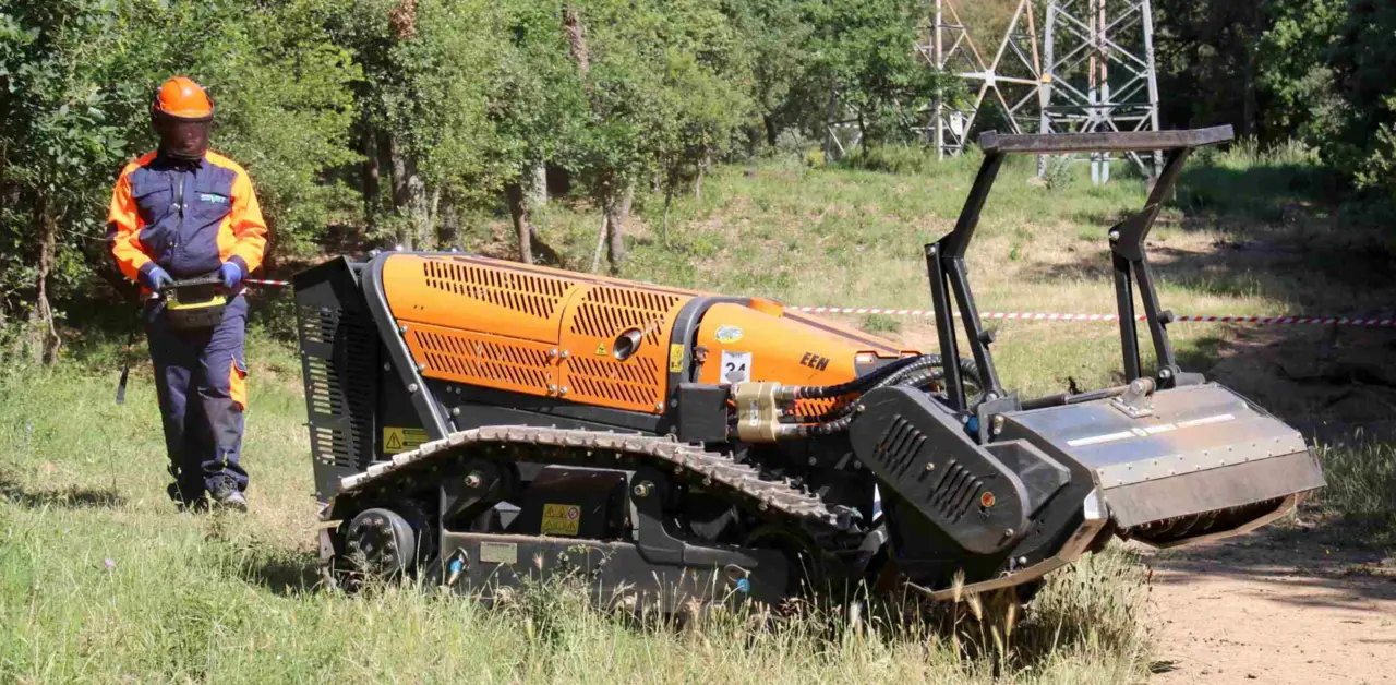  Tala y poda&nbsp;selectiva 