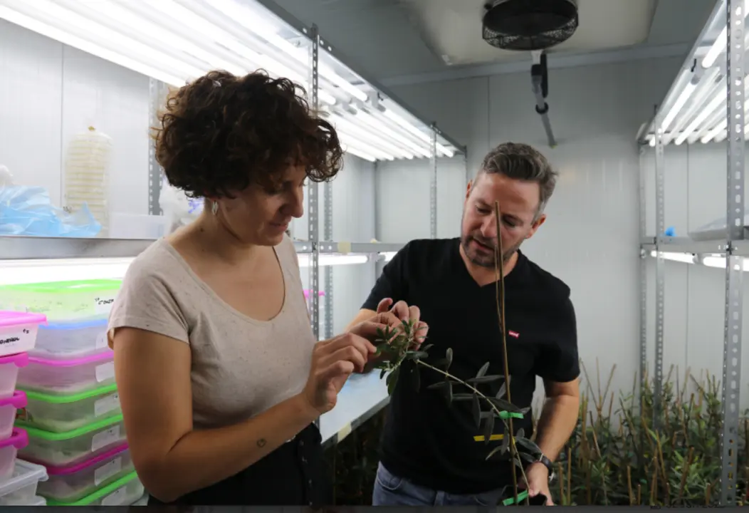  Los investigadores Mar&iacute;a Teresa Garc&iacute;a y Juan Moral 