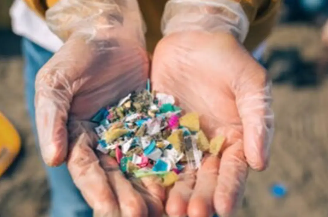  Archivo - Captoplastic en su iniciativa de recogida de micropl&aacute;sticos - FUNDACI&Oacute;N EVERIS - Archivo 