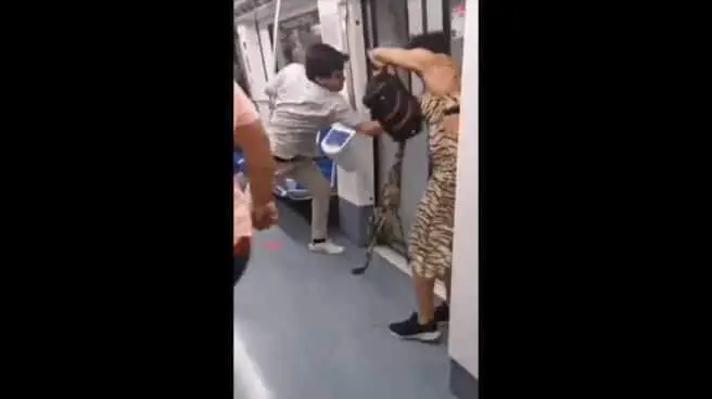  Captura del video donde se ve la agresi&oacute;n 