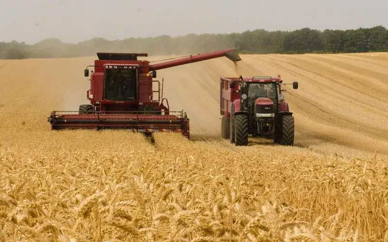  Agricultor cosechando en el campo - UNI&Oacute;N DE UNIONES 