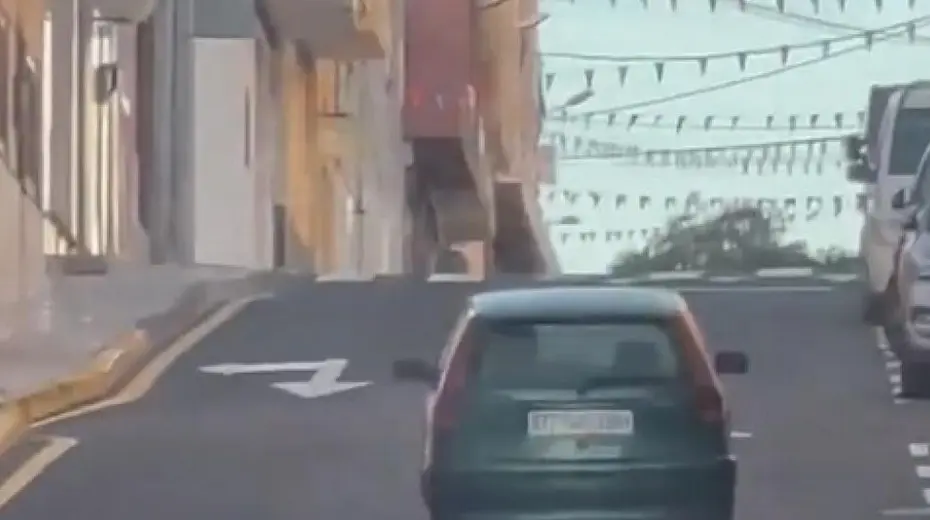  Captura de v&iacute;deo del intento de abandono del perro 