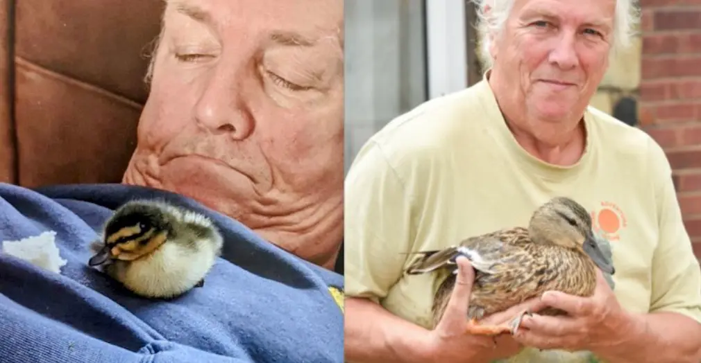  Phil Garner &ndash; SWNS 