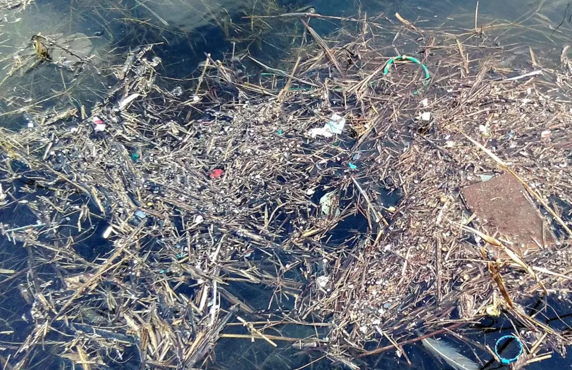  Pl&aacute;sticos - RAFAEL CARBALLEIRA 