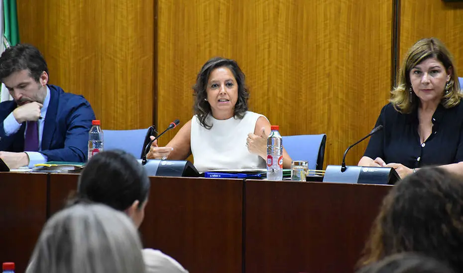  1689686274938CGComisi&oacute;n Infancia_Estandar 