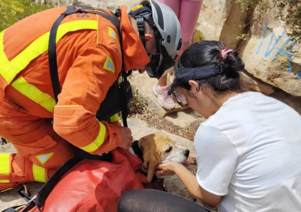  Rescate de un perro en Sagunto - CPBV 