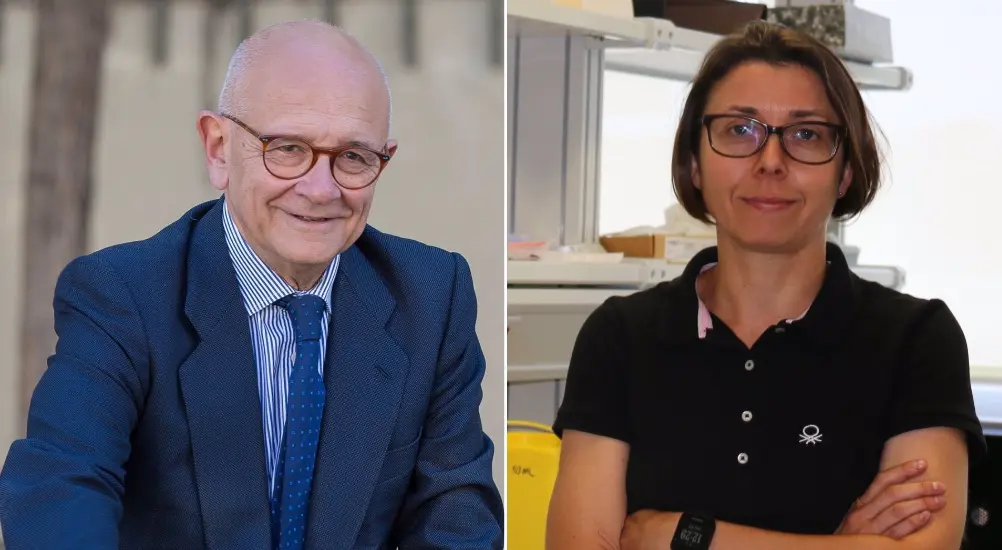  Vi&ntilde;a y Cabrera - INCLIVA 