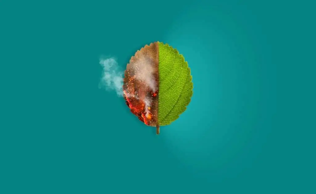  BBVA-cambio-climatico-apertura-1-1024x629 