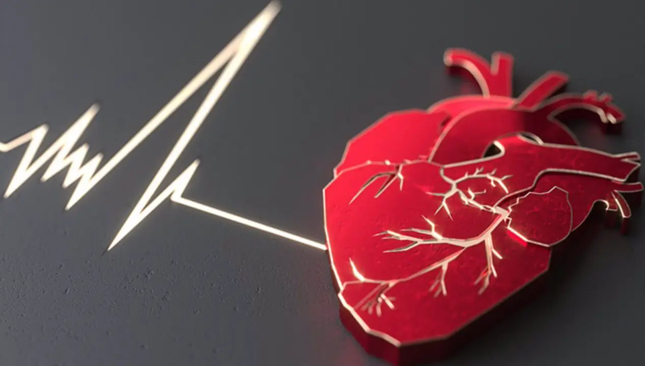  Archivo - Coraz&oacute;n plano abstracto en el concepto de superficie de piedra - TRODLER - Archivo 