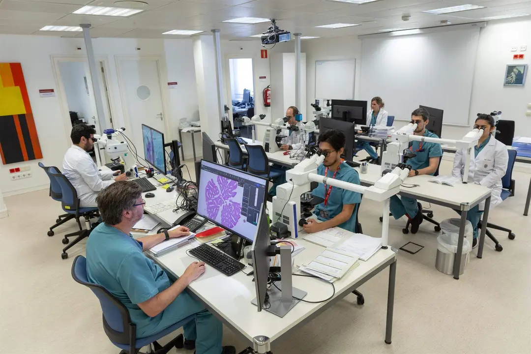  Un nuevo modelo ayudar&aacute; a predecir el riesgo de sufrir una reca&iacute;da de c&aacute;ncer de endometrio 