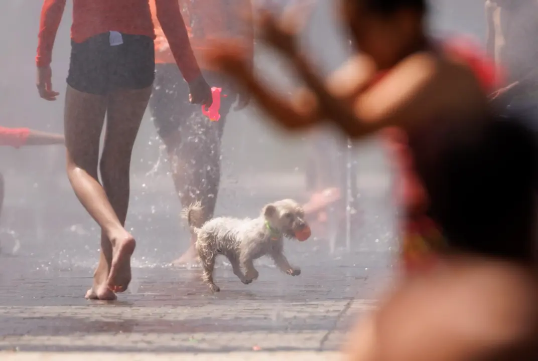  Un perro juego en el agua para refrescarse en Madrid Rio, a 26 de junio de 2023, en Madrid (Espa&ntilde;a). - Eduardo Parra - Europa Press 