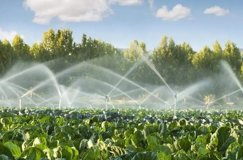  Agricultura. ARCHIVO 