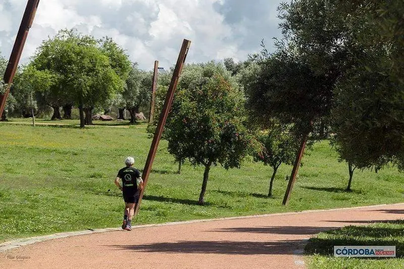  Hombre haciendo deporte en el parque de la Asomadilla en Córdoba / Pilar Gázquez. 