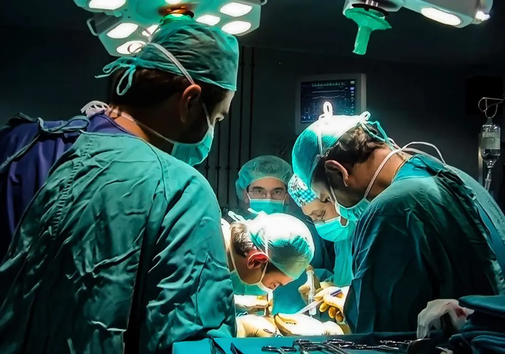 Trasplante. - JUNTA DE ANDALUC&Iacute;A -