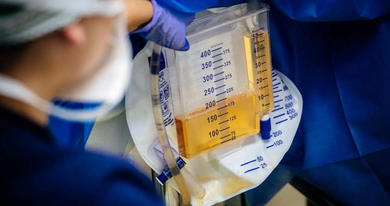  Universidad de Alabama 