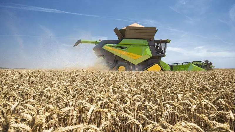  Campo de Trigo en Ucrania 