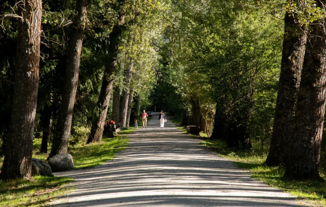  Un camino el d&iacute;a que da comienzo el oto&ntilde;o 2023, en el Bosque Finland&eacute;s, a 20 de septiembre de 2023, en Rascafr&iacute;a, Madrid (Espa&ntilde;a). El oto&ntilde;o de 2023 en el hemisferio norte comienza el s&aacute;bado 23 de septiembre, seg&uacute;n c&aacute;lculos del Observatorio Astron&oacute;mico Nac - Rafael Bastante - Europa Press 