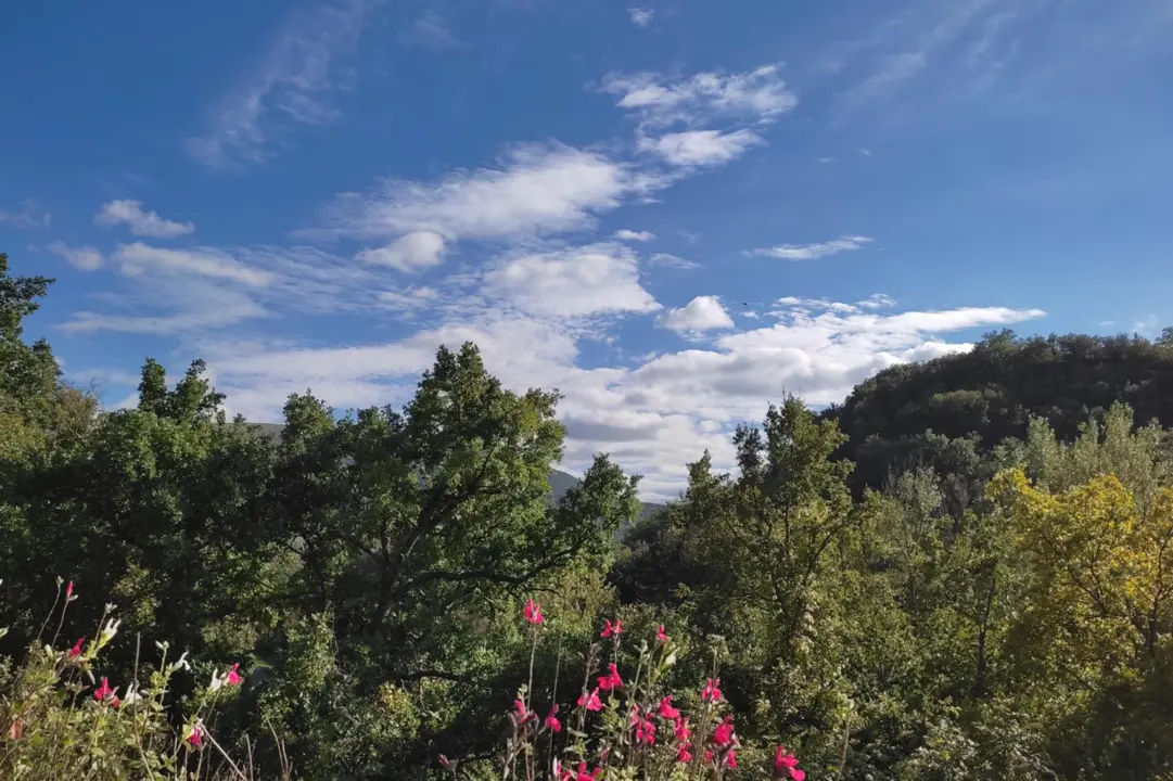  Temperaturas en aumento y cielos despejados marcar&aacute;n este domingo el tiempo en la mayor parte de Espa&ntilde;a 
