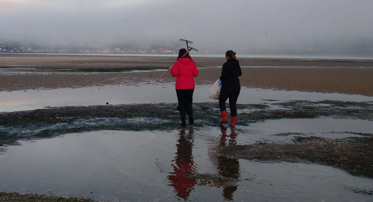  Investigadores espa&ntilde;oles desvelan la evoluci&oacute;n de un c&aacute;ncer que se transmite en el mar - CIMUS 