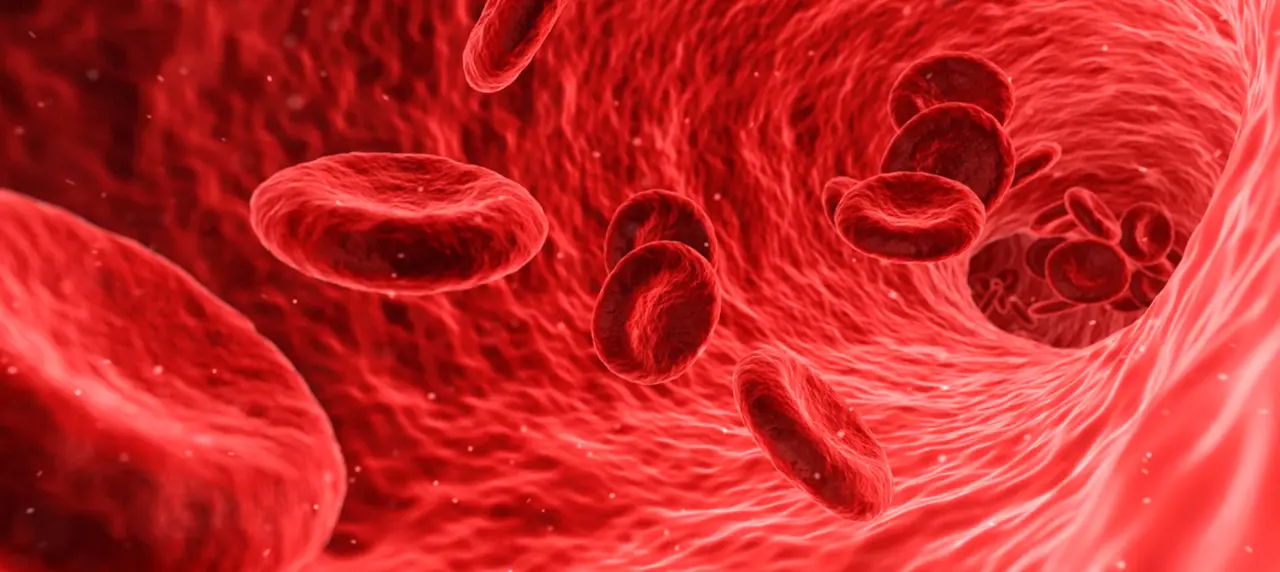  Archivo - Sangre - CIBEROBN - Archivo 